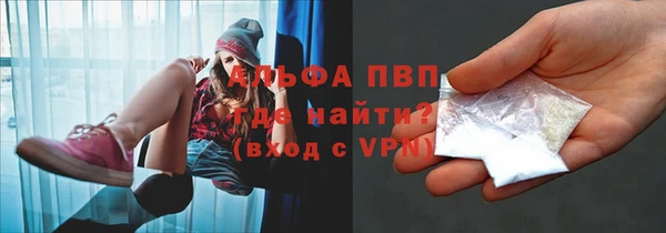 ПСИЛОЦИБИНОВЫЕ ГРИБЫ Кулебаки