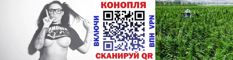 Каннабис планчик  mega ссылка  Норильск 